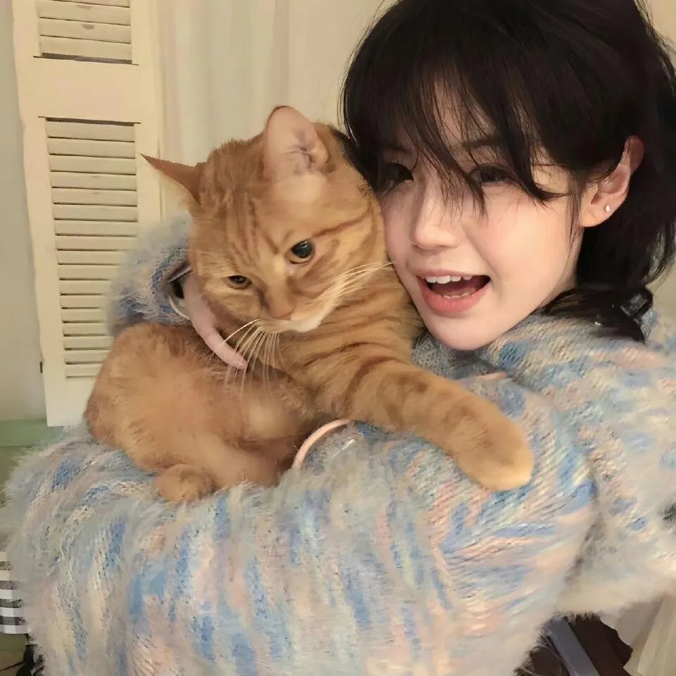 阿拉伯人在美国